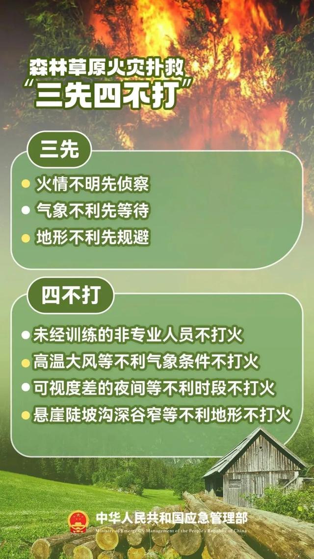 沈腾《抓娃娃》结局震撼人心！马继业的人生逆袭与父母的教育骗局